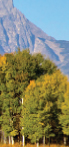 Cheyenne Real Estate with Greg Palmquist and ERA